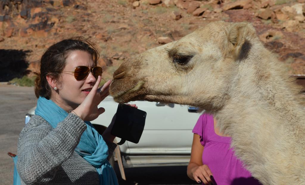 Hotel Black Irish Camp And Tours Wadi Rum Exterior foto